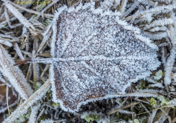Image d'illustration pour Décembre débute dans le froid