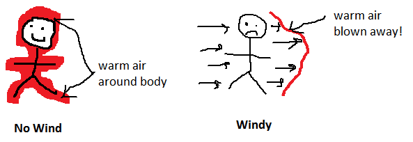 Image d'illustration pour Windchill ou refroidissement éolien