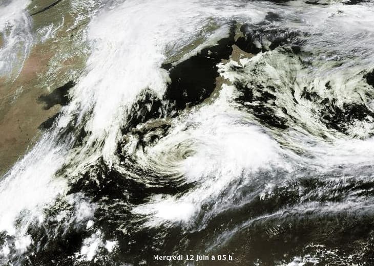 Image d'illustration pour Tempête tropicale Yagi (Japon)