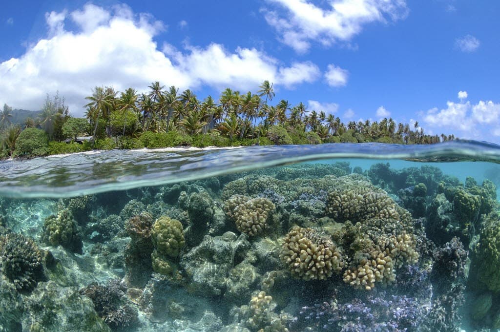 Image d'illustration pour Réchauffement & changement climatique : veille documentaire